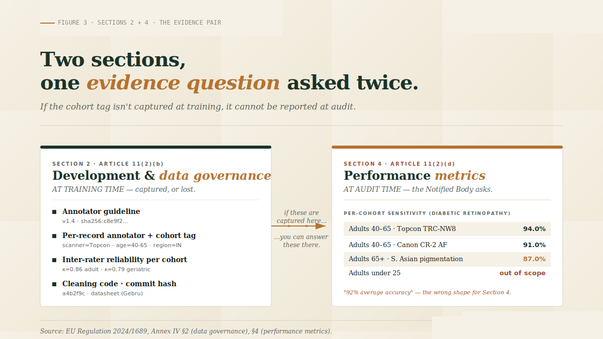 Two side-by-side cards: Section 2 (Development & data governance, captured at training time) on the left with an evidence checklist, Section 4 (Performance metrics, demanded at audit time) on the right with a per-cohort sensitivity table. An arrow between them reads: if these are captured here, you can answer these there.
